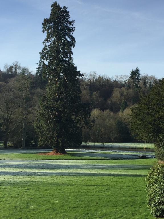 Le Manoir De Benedicte B&B Cahan Eksteriør billede